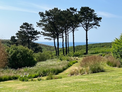 Le jardin